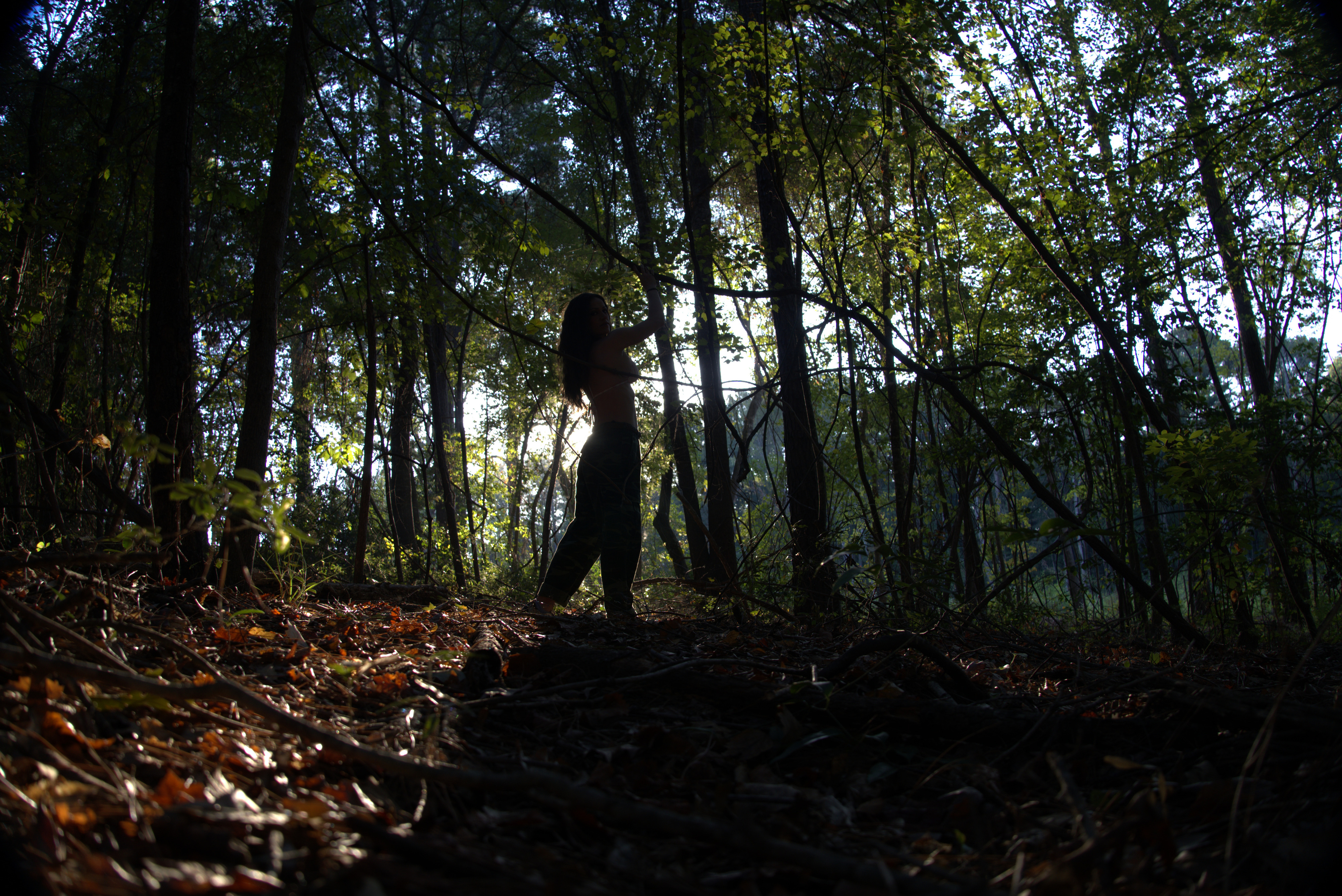Hi-Rez silhouette session example along a woodland branch at JW Manor