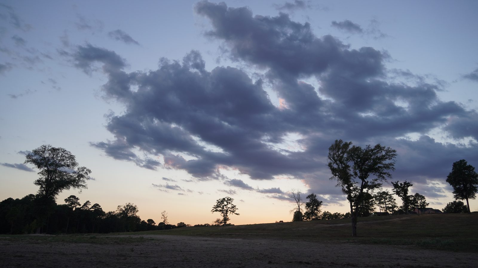 Dusk over an open East Texas field, with soft violet clouds drifting above silhouetted trees on the tree line at JW Manor